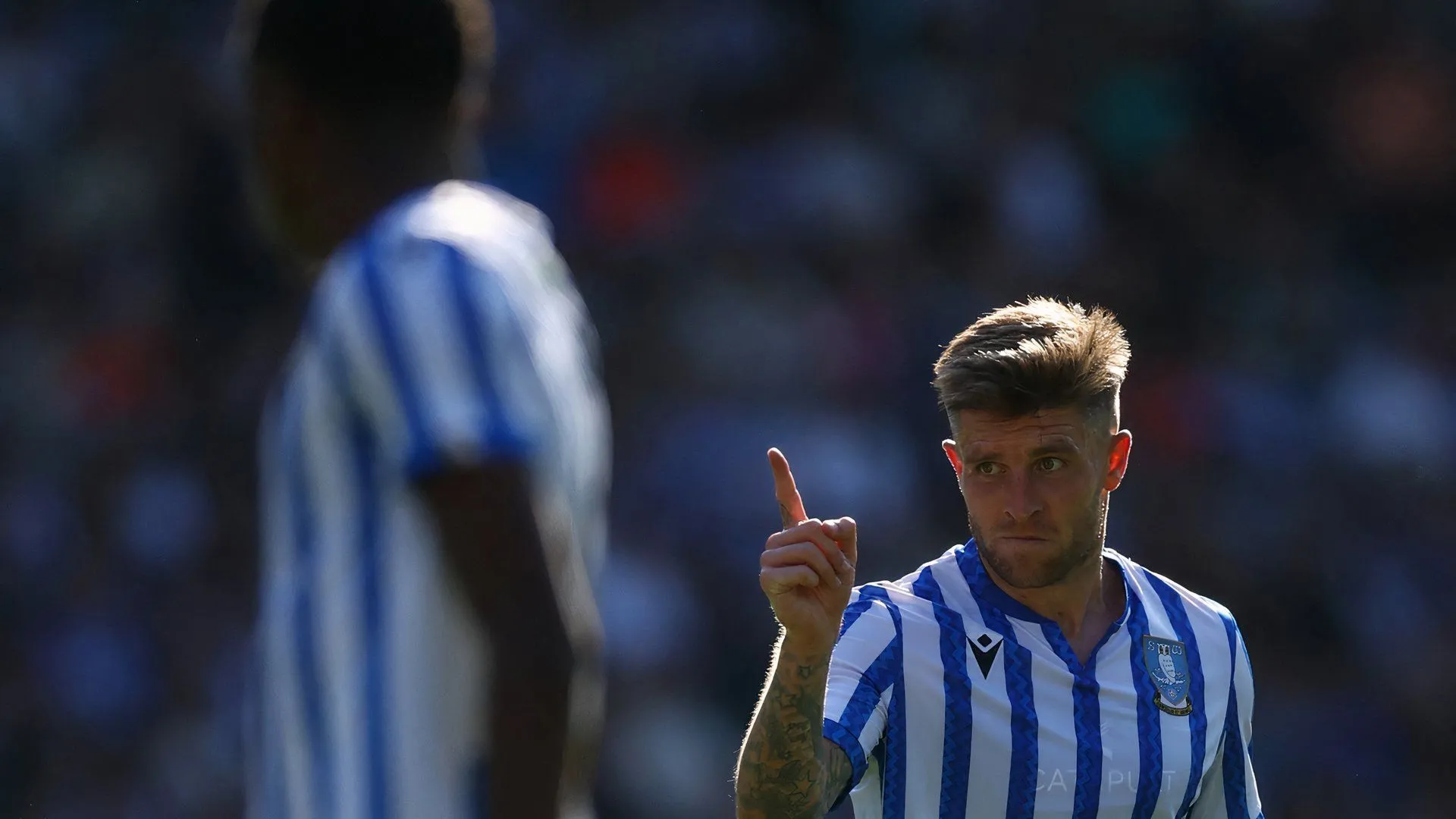 Josh Windass ăn mừng bàn thắng trong màu áo Sheffield Wednesday