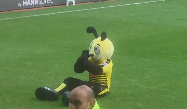 Harry The Hornet, linh vật biểu tượng của câu lạc bộ Watford FC