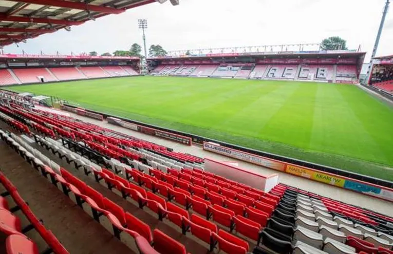 Khung cảnh sân cỏ xanh mướt tại Vitality Stadium, sẵn sàng cho những cuộc đối đầu nảy lửa ở Premier League.
