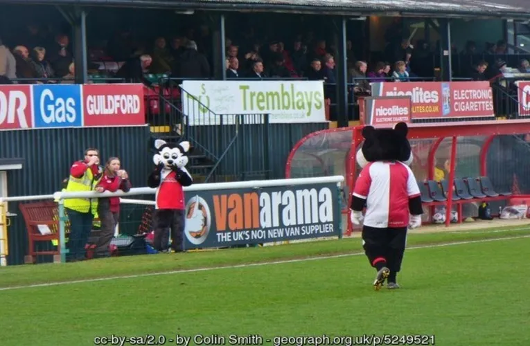 Linh vật K.C. Kat của Woking FC chào đón người hâm mộ tại sân Kingfield