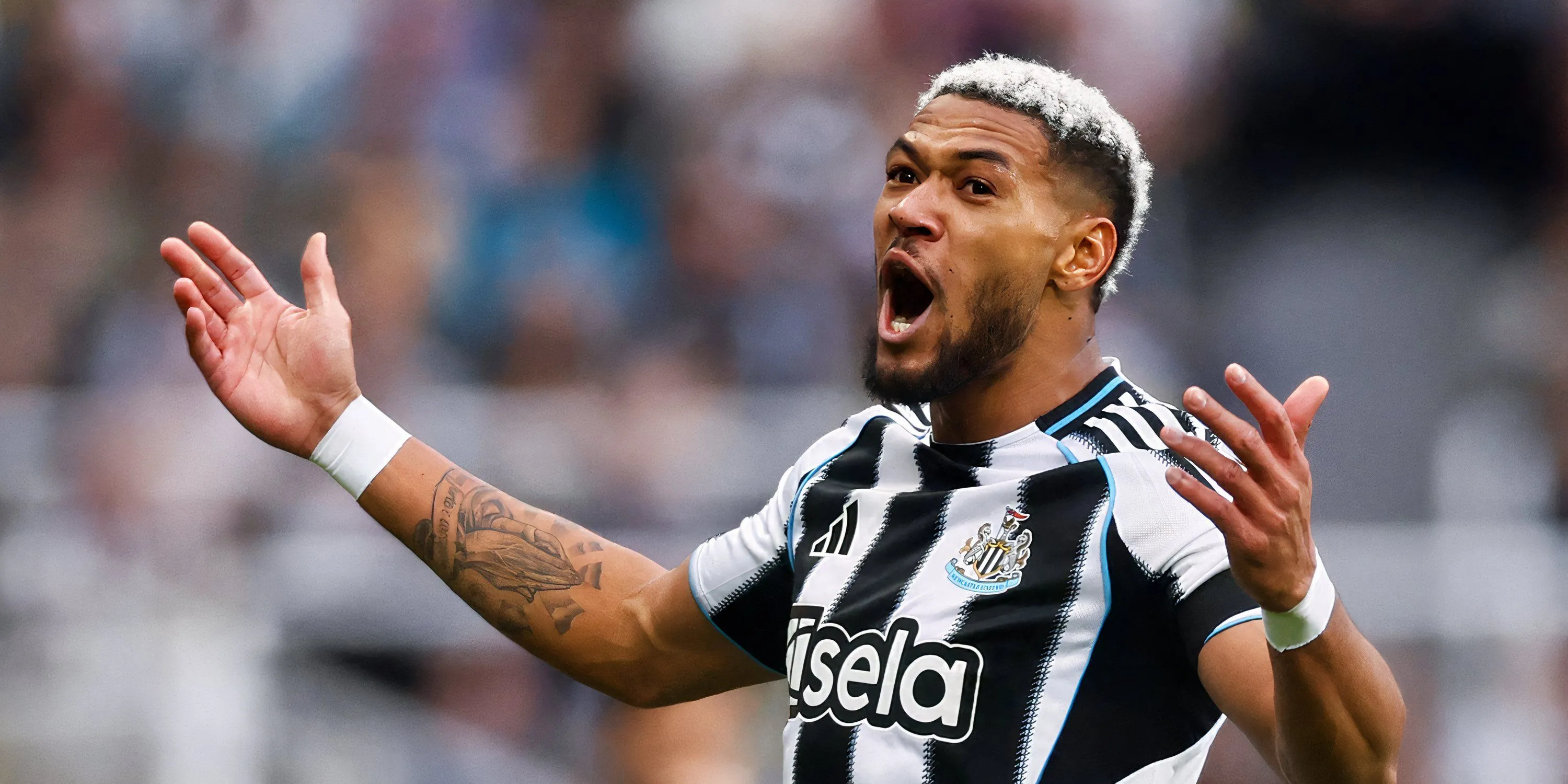 Joelinton vật lộn giữa các tiền vệ Brighton